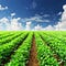 The Dirt: Food & Farming News and Views