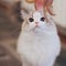Go to the profile of Li_Qingzi_2865446