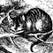 Go to the profile of Dr. C. Cat