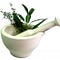 Go to the profile of Herbal Remedies Treatment