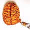 Go to the profile of Brain Post Blog