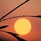 Go to the profile of Heena