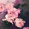 Go to the profile of Mimi Metu