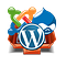CMS Development