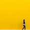 Visual Stories 2016–7