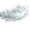 Feather Laundry