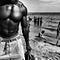 The Street Photography Journal