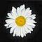 Go to the profile of heba al-qattan/هبة القطان
