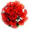 Go to the profile of Christine Pohlmann