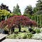 Go to the profile of The Tree Care Guide