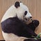Go to the profile of stevesun21