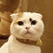 Go to the profile of Keishi Kawakami