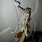 Go to the profile of Scott M Forman