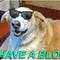 Go to the profile of such blog | very posting