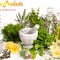 Go to the profile of Herbal Care Products