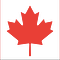 Go to the profile of Christine Dudgeon Wilson