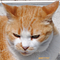 Go to the profile of ふじわら775SE™