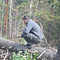 Go to the profile of Paulius Podziunas