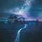 Go to the profile of Olivia Holowinski