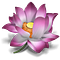 Go to the profile of vnco.net kênh phật giáo