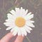 My Sprinkling Life