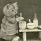 Go to the profile of Inna Klimova