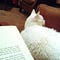 Go to the profile of a blanket and a pen