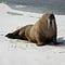 Go to the profile of TheWalrusCometh