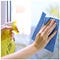 Go to the profile of Home Cleaning Business Se