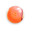 Go to the profile of IWCDWAFI