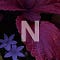 Neutral Introspection