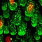 Go to the profile of Ting Lab at NIBS