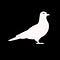 Go to the profile of Courier