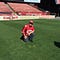 Go to the profile of The Macho Sports Report