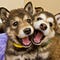 Go to the profile of lunalee906