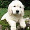 Go to the profile of Huong