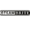 Go to the profile of STEAM BRITE