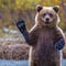 Go to the profile of Sr.Oso