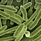 Go to the profile of Medium's Immune System