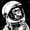 Go to the profile of Space Monkey