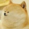 Go to the profile of Depado