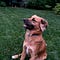 Go to the profile of Teely Green
