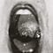 Go to the profile of Lorena Lopes