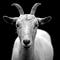 The Goatkeeper