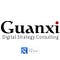 Go to the profile of Guanxi Digital Strategy