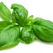 Go to the profile of Basil T. Lemon