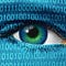 The Internet Corporation