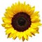 Go to the profile of Harshit Garg
