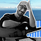 Go to the profile of Marco Goldin