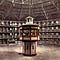Cultural Panopticon